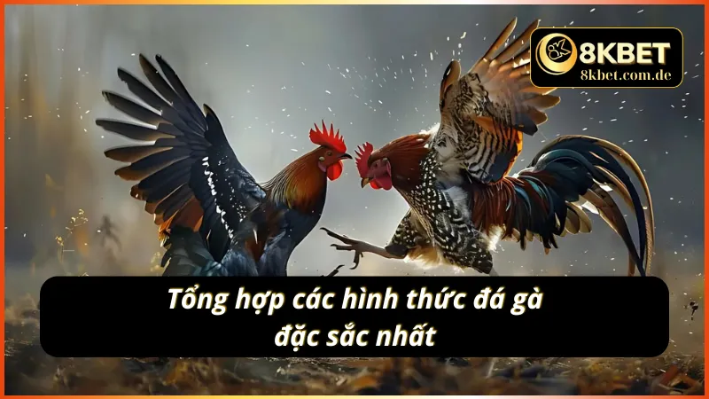 Điểm danh các hình thức đá gà 8KBET đặc sắc