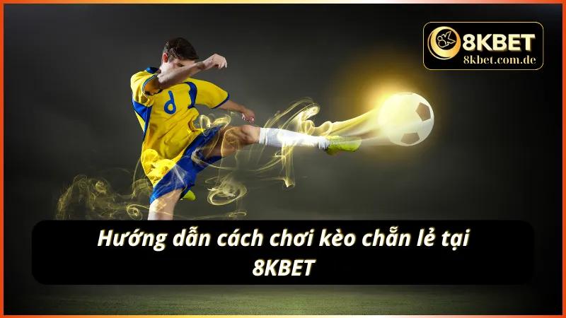 Cách chơi kèo chẵn lẻ 8KBET cho người chơi mới
