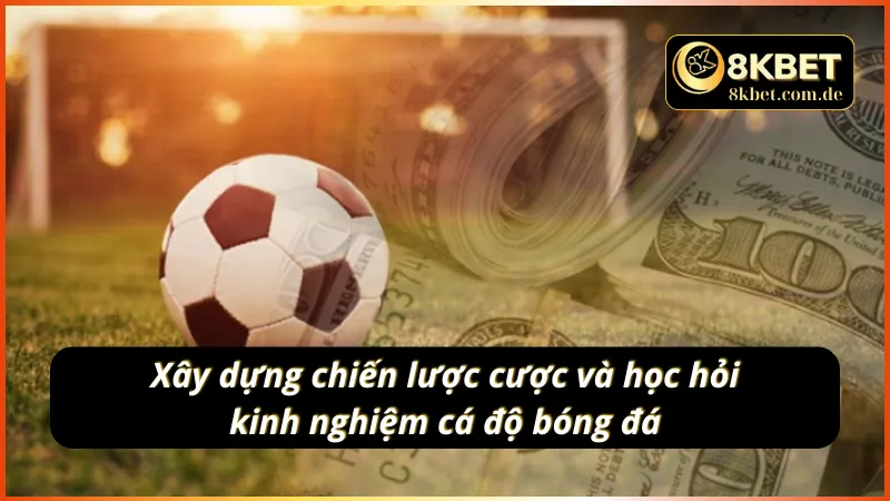Học hỏi cho mình chiến lược, kinh nghiệm cá độ bóng đá