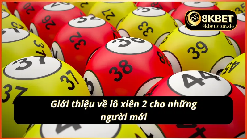 Giới thiệu về lô xiên 2 cho những người mới bắt đầu