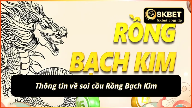 Chi tiết về hình thức soi cầu nổi tiếng