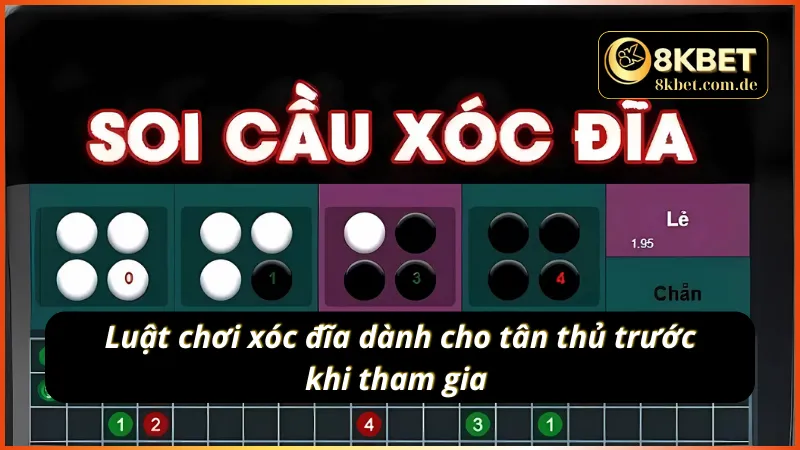 Luật đặt cược xóc đĩa newbie cần biết