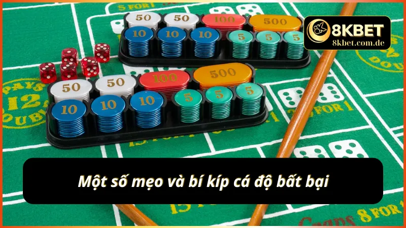 Những bí kíp cá độ bất bại mà bạn nên biết