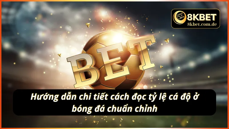 Chỉ dẫn cách đọc tỷ lệ cá cược bóng đá siêu chuẩn xác
