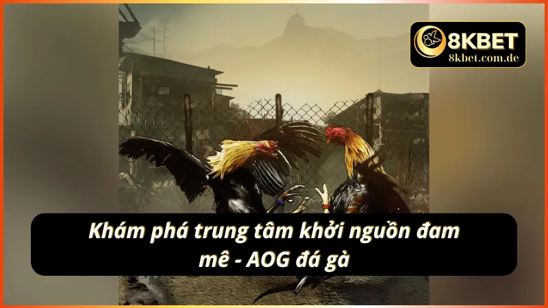 AOG đá gà - nơi cược thủ khởi nguồn đam mê