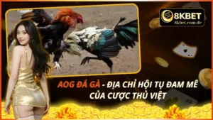 AOG đá gà