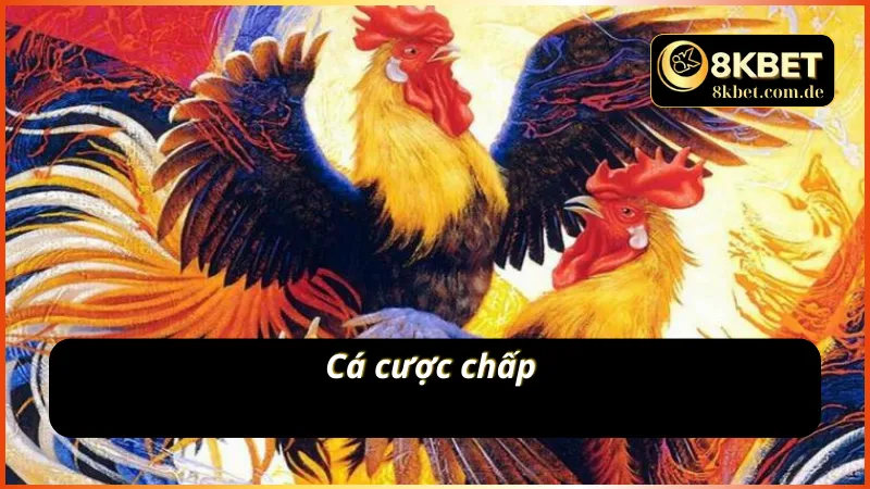 Sảnh cược cuốn hút người chơi của AOG đá gà