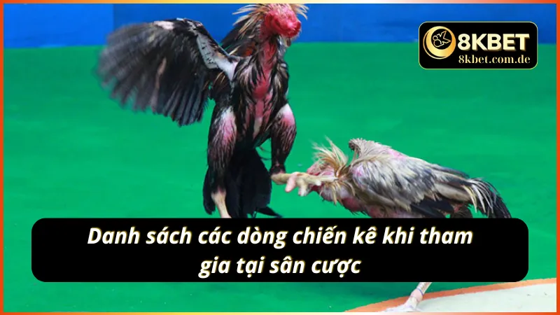 Những dòng gà chiến trong đá gà cựa dao
